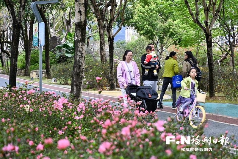 琴亭湖公园近3万株杜鹃花提前绽放_城市福州_福州市政协委员会