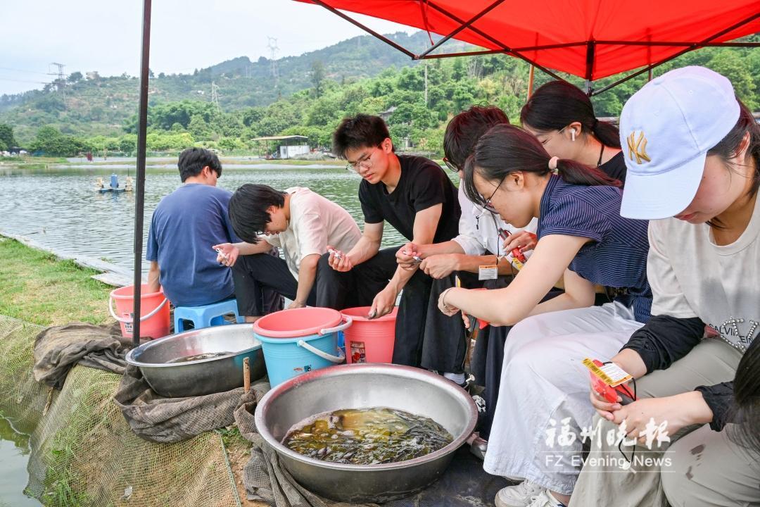 闽大科研团队为2万尾鲢鱼办“身份证”
