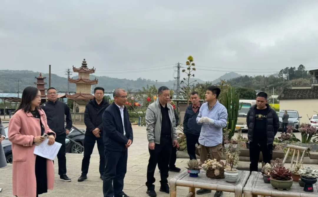 助力乡村全面振兴委员进百村｜市政协民宗委开展“民族乡村林下特色种植助力产业振兴”智库课题调研活动暨主题党日活动