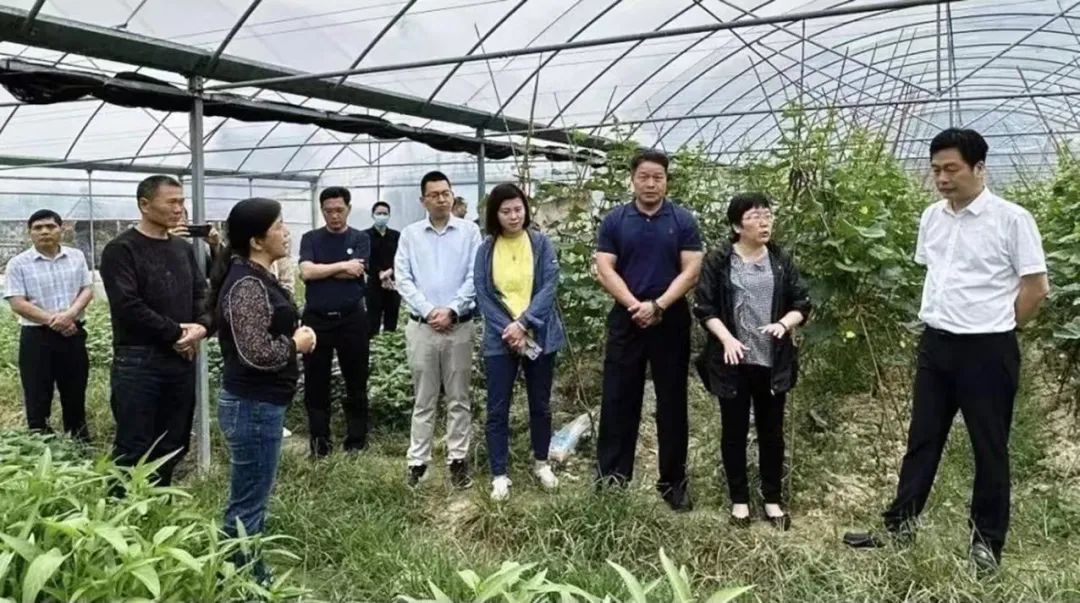 人民政协报·早闻政协｜福州市政协调研政协委员联系界别群众工作