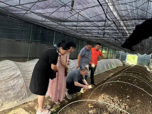 助力乡村全面振兴委员进百村｜市政协农业和农村委深化“助力乡村全面振兴委员进百村”跨区域履职活动